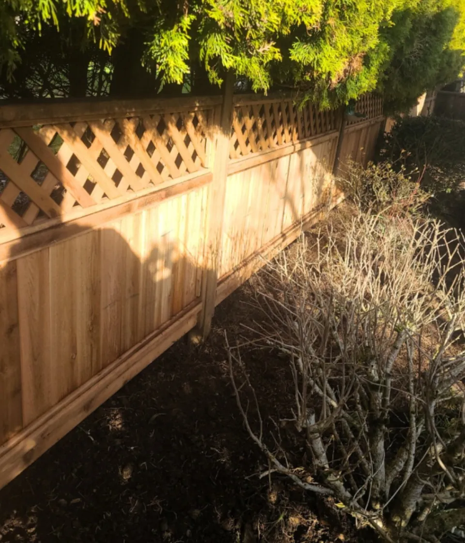Cedar privacy fence with lattice